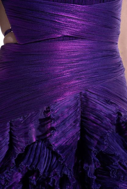Prom Dress In Store Halter A-line Midnight Orchid Tiered Pleated Evening Dress Floor Length Sleeveless Dresses Evening Wear