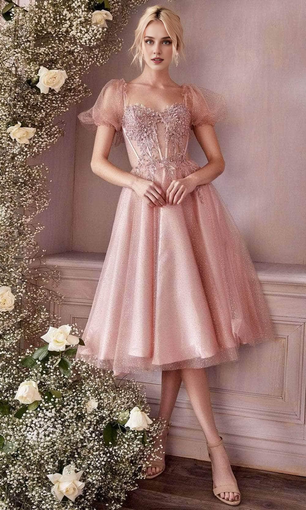 Formal Black Dresses A-line Puff- Sleeve Tea-Length Dress Lace Applique Prom Dress / Formal Wear Dresses