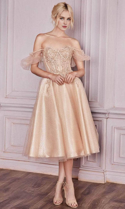 Formal Black Dresses A-line Puff- Sleeve Tea-Length Dress Lace Applique Prom Dress / Formal Wear Dresses