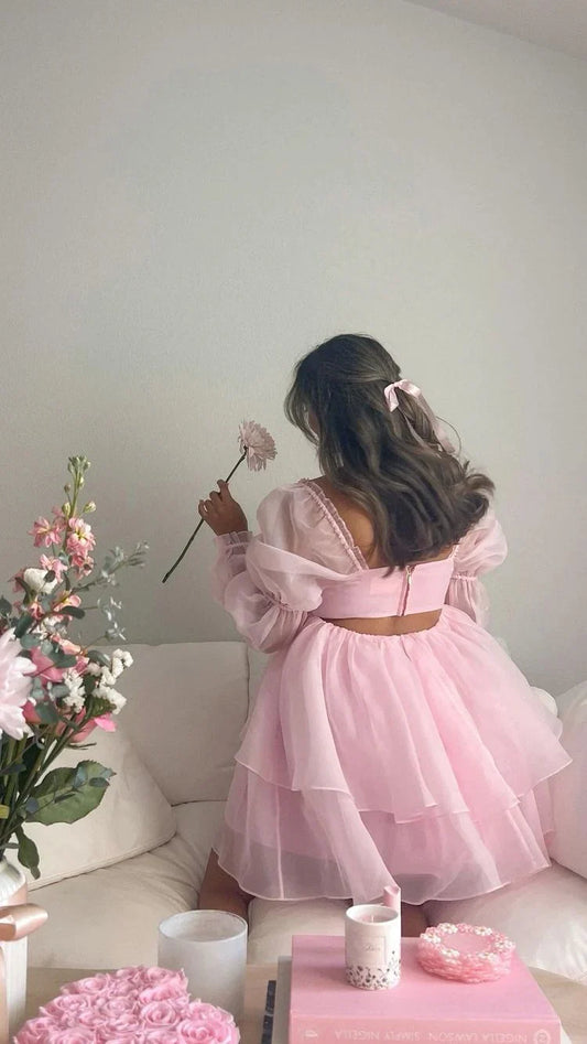 Dresses Formal Pink A-line Puffy Dress Pink Homecoming Dress Stores With Prom Dresses