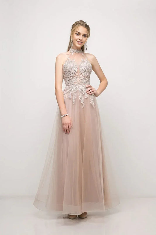 Dress A Line Lace Appliques Long Tulle Evening Gown Formal Dress Backless Sleeveless Prom Dress