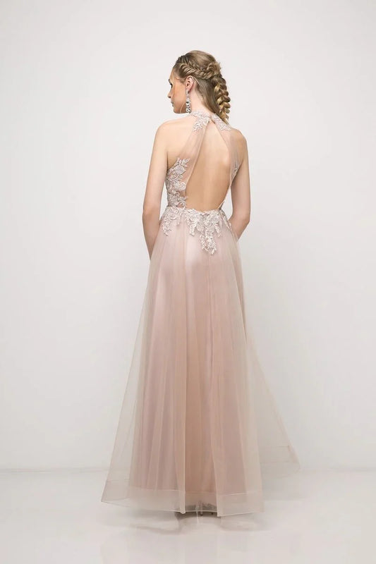 Dress A Line Lace Appliques Long Tulle Evening Gown Formal Dress Backless Sleeveless Prom Dress