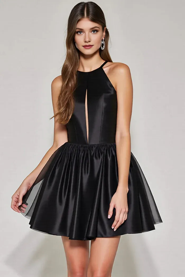 Dress Black A Line Halter Keyhole Short Homecoming Dress Sleeveless Backless Party Dress