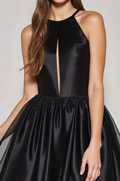 Dress Black A Line Halter Keyhole Short Homecoming Dress Sleeveless Backless Party Dress