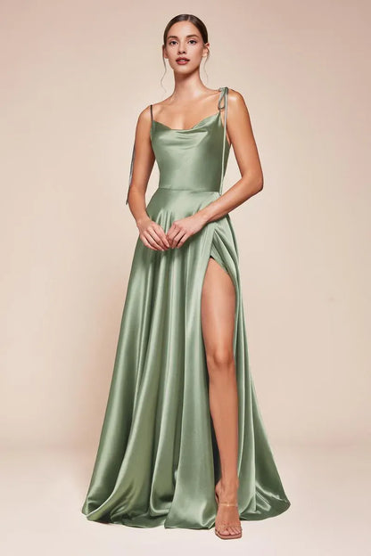 Dress Simple Spaghetti Straps Cowl Neck Evening Dress A-Line Sweep/Brush Train Solid Color Backless Prom Dress