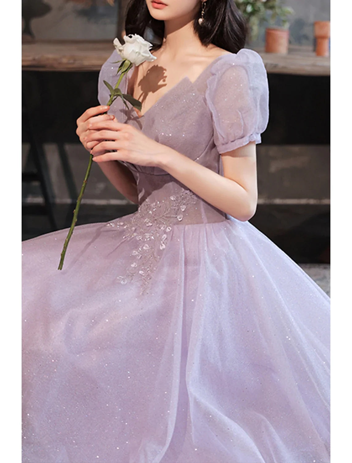 A-Line Prom Party Dress Sparkle & Shine Dress Prom Valentine‘s Day Floor Length Short Sleeve V Neck Tulle